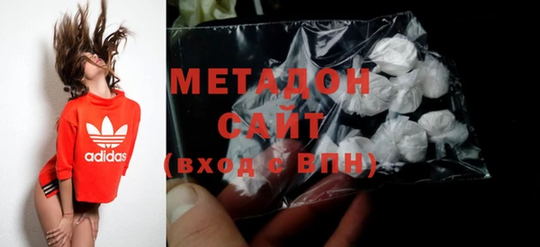прущие грибы Богданович