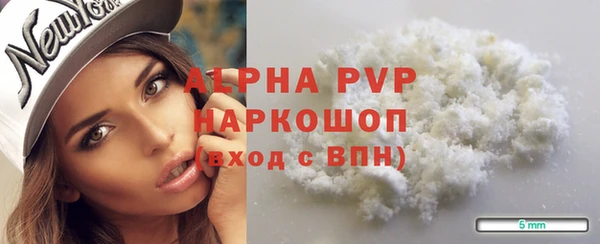прущие грибы Богданович