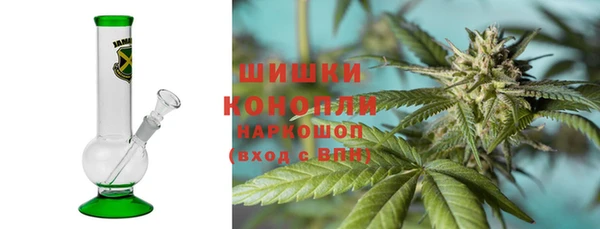 стаф Богородицк