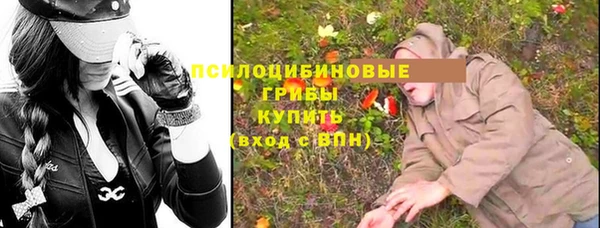прущие грибы Богданович