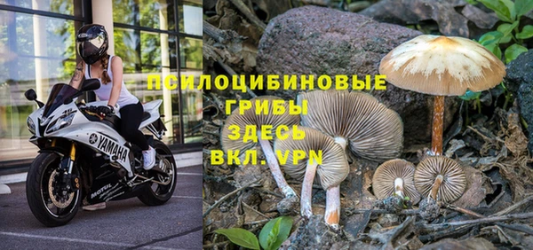 метадон Майский